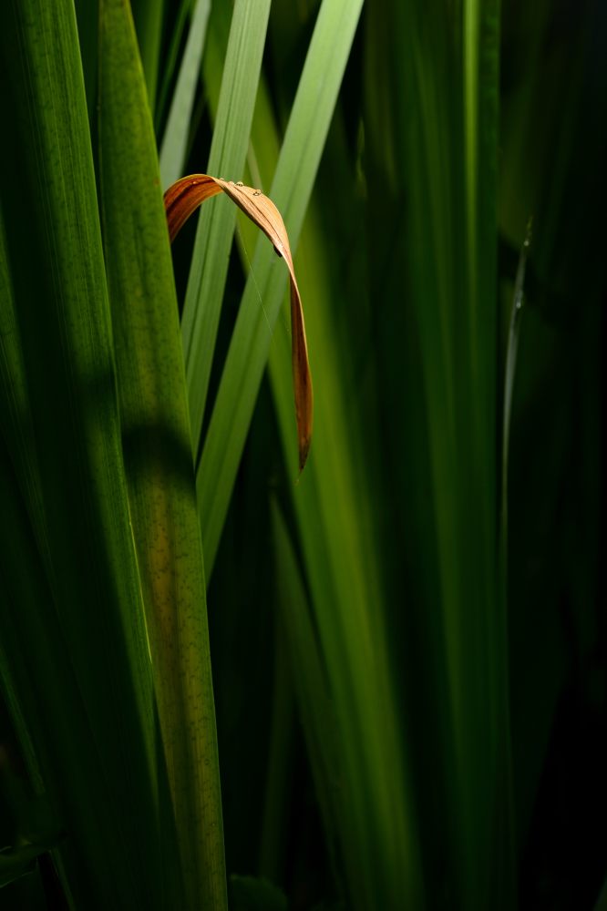 5. Platz Robert Seitz